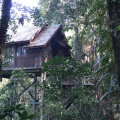 Permai Rainforest Resort