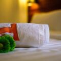 T Hotel Tandop