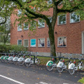 Image 20