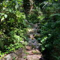 Mimpi Resort Tulamben