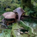 Bambu Indah