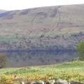 Image 14