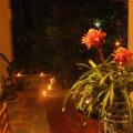 Dionis Villa