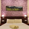 Arundina Cameron Highlands