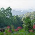 Villa Shenandoah