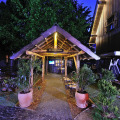 Image 21