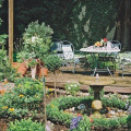 Image 13