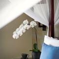 Revivo Wellness Resorts