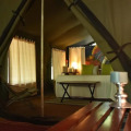 Mahoora Tented Safari Camp - Udawalawe