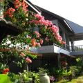 Villa Molek