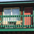 Image 21