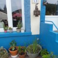 Image 14