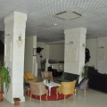 Image 15