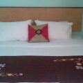 Rose Inn Motel