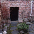 Image 19