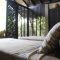 Kaju Green Eco Lodges Hotel