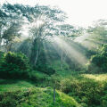 Amaya Hills Kandy