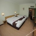 Tang Dynasty Park Hotel