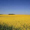 Image 25