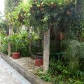 La Carmela De Boracay Hotel