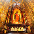 Image 11