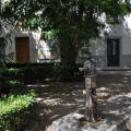 Image 16