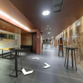 Image 15