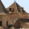 Image 14