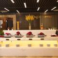 Sata Hotel