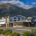 Image 8
