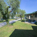 Image 29