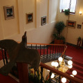 Image 12
