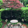 Image 15