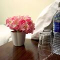 Maple Inn