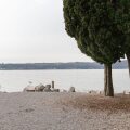 Image 14