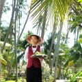 Muine Century Beach Resort & Spa