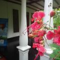 Sigiriya Rest House