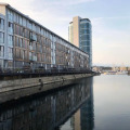 Image 15