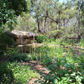 Image 10