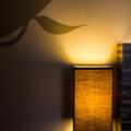 The 5 Elements Hotel