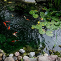 Image 22