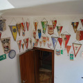 Image 15
