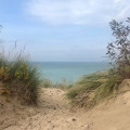 Image 20