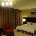 Gaya Centre Hotel