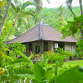 Coral View Villas