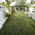 Image 14