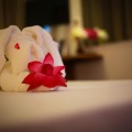 Arena Hotel