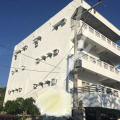 Image 19