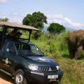 Mahoora Tented Safari Camp - Udawalawe