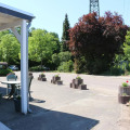 Image 13